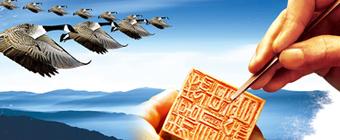 集團(tuán)產(chǎn)業(yè)
