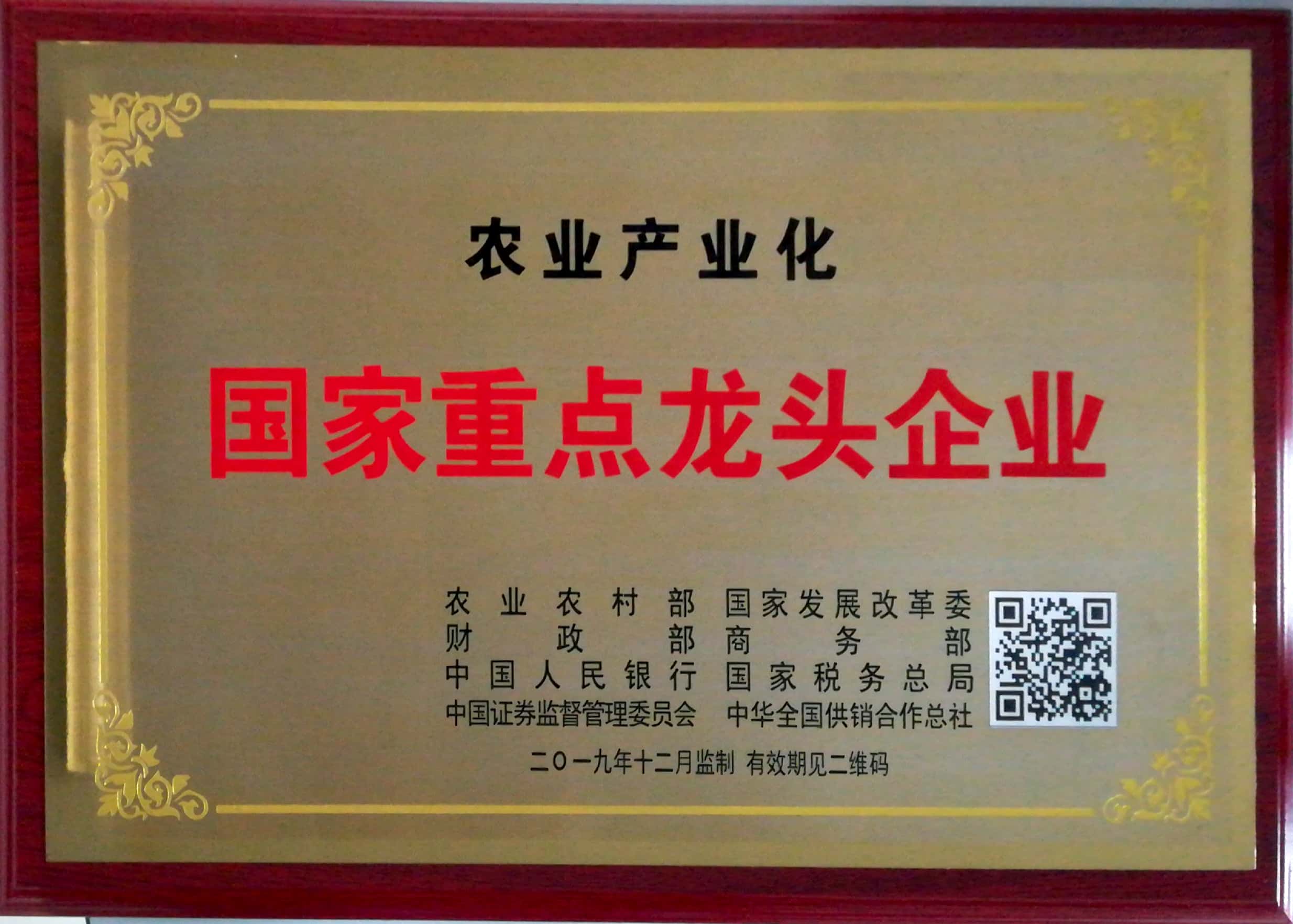 新國家龍頭企業(yè)